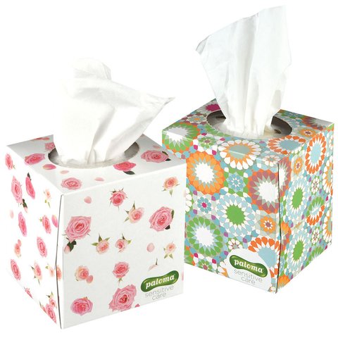 Șervețele Paloma Cosmetic Tissues Box, 4 straturi (60buc cutie) 3838952014632 foto