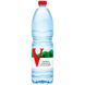 Vittel натуральная минеральная вода, 1.5 л 7613036249928 фото 1